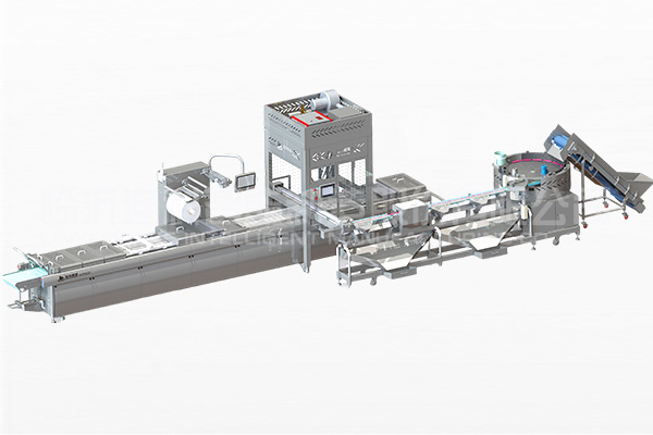 机器人自动投料系统-单线