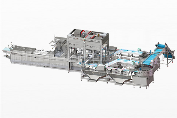 机器人自动投料系统-双线