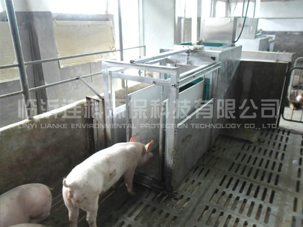 种猪性能测定站应用